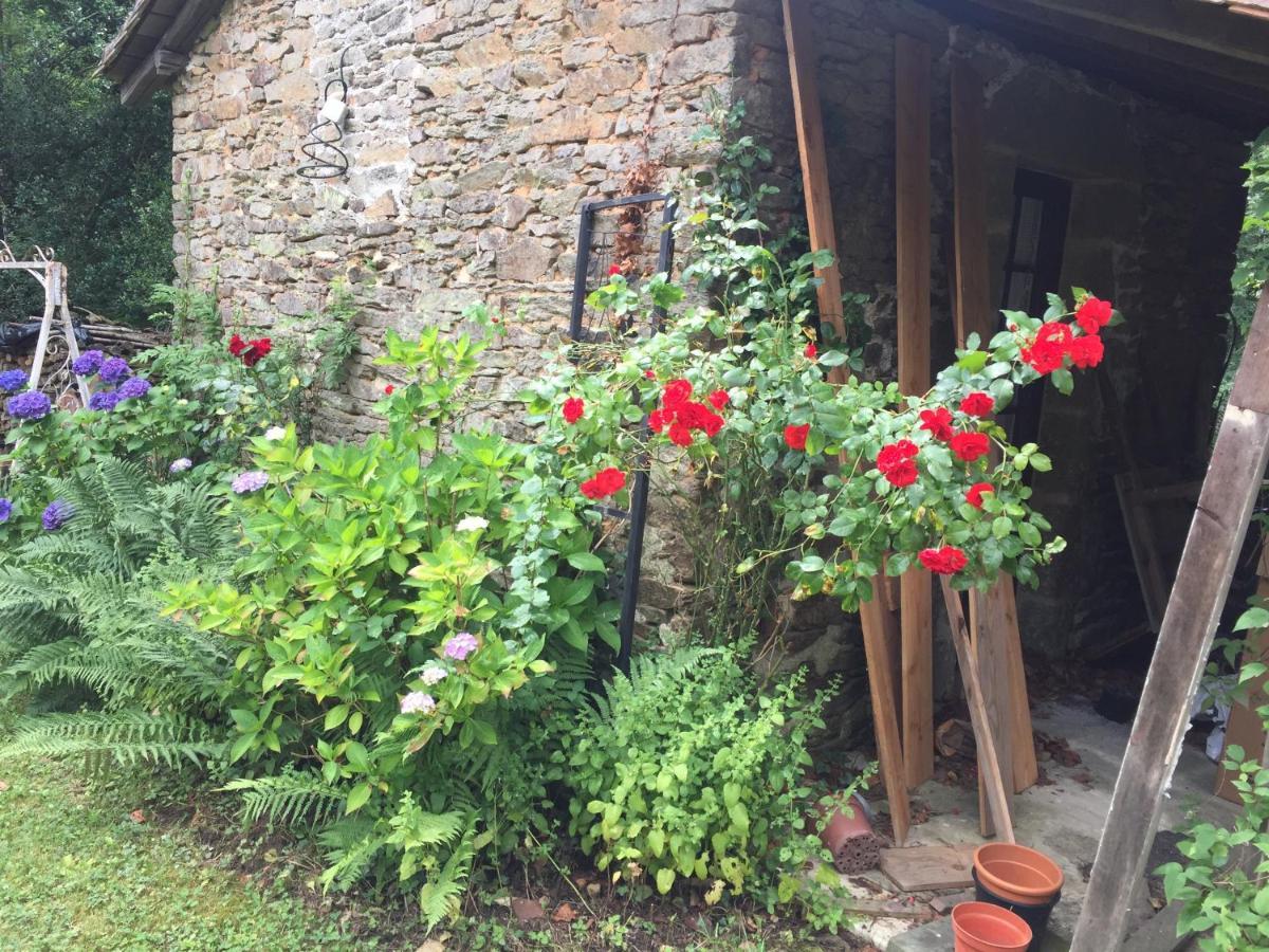 DournazacNo 6住宿加早餐旅馆 外观 照片